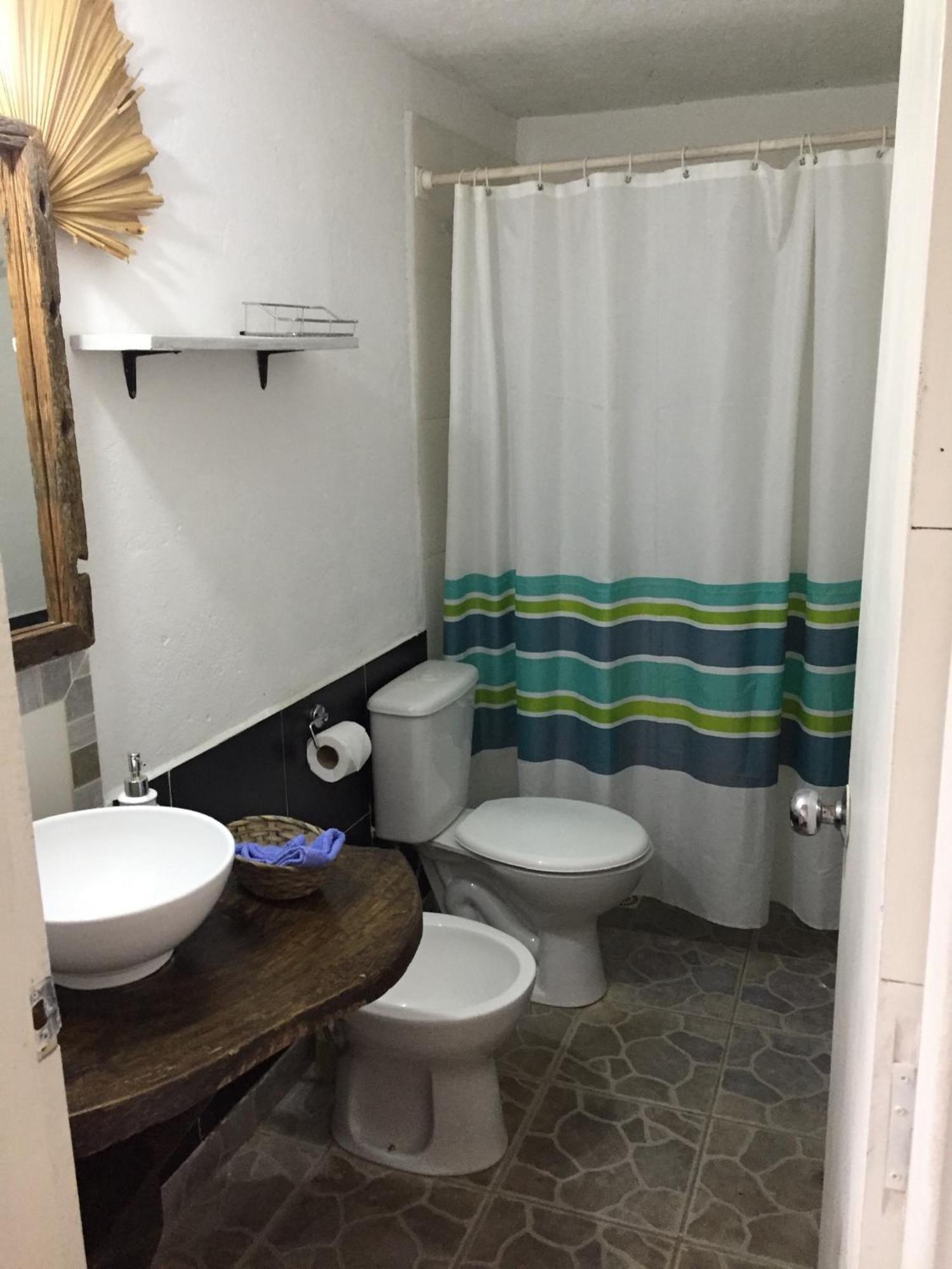 Lunas Del Bosque Cabana Y Apartamento En Suite La Paloma Ngoại thất bức ảnh