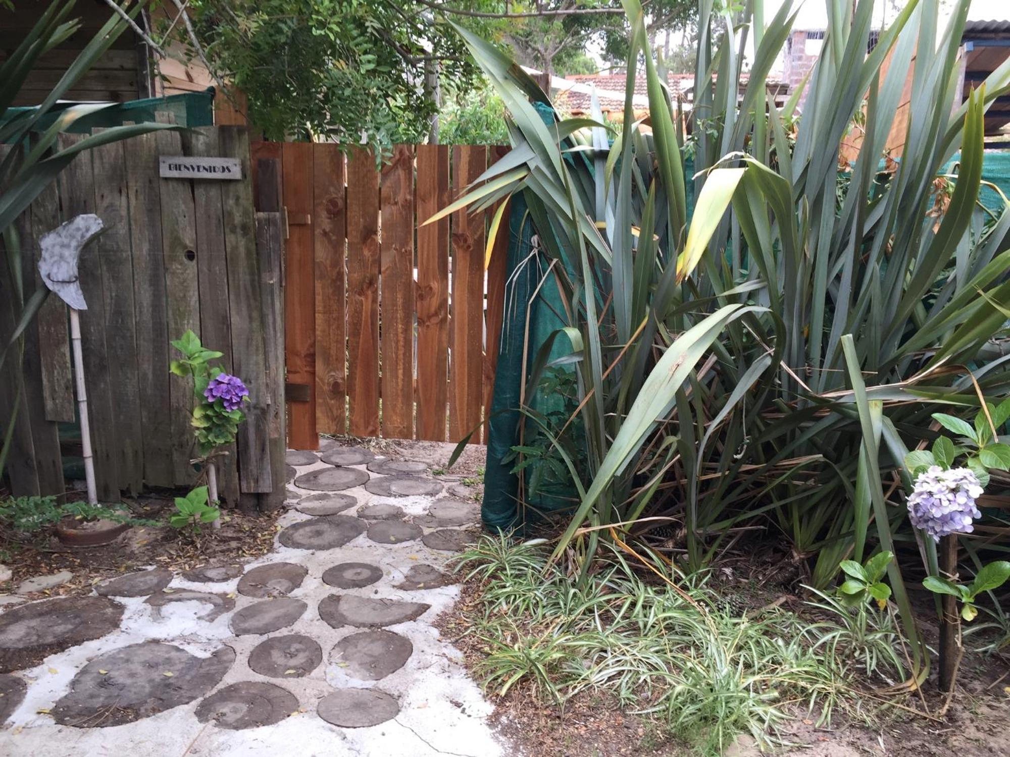 Lunas Del Bosque Cabana Y Apartamento En Suite La Paloma Ngoại thất bức ảnh