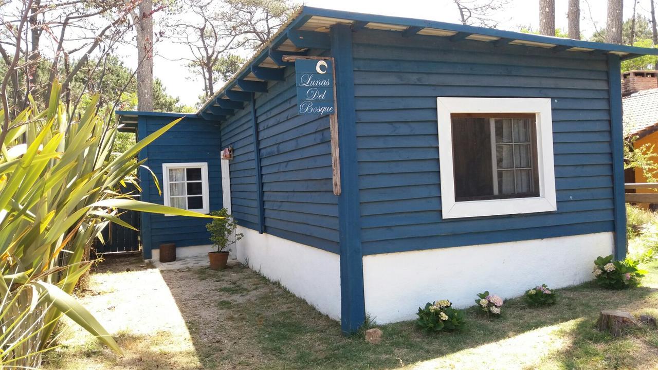 Lunas Del Bosque Cabana Y Apartamento En Suite La Paloma Ngoại thất bức ảnh