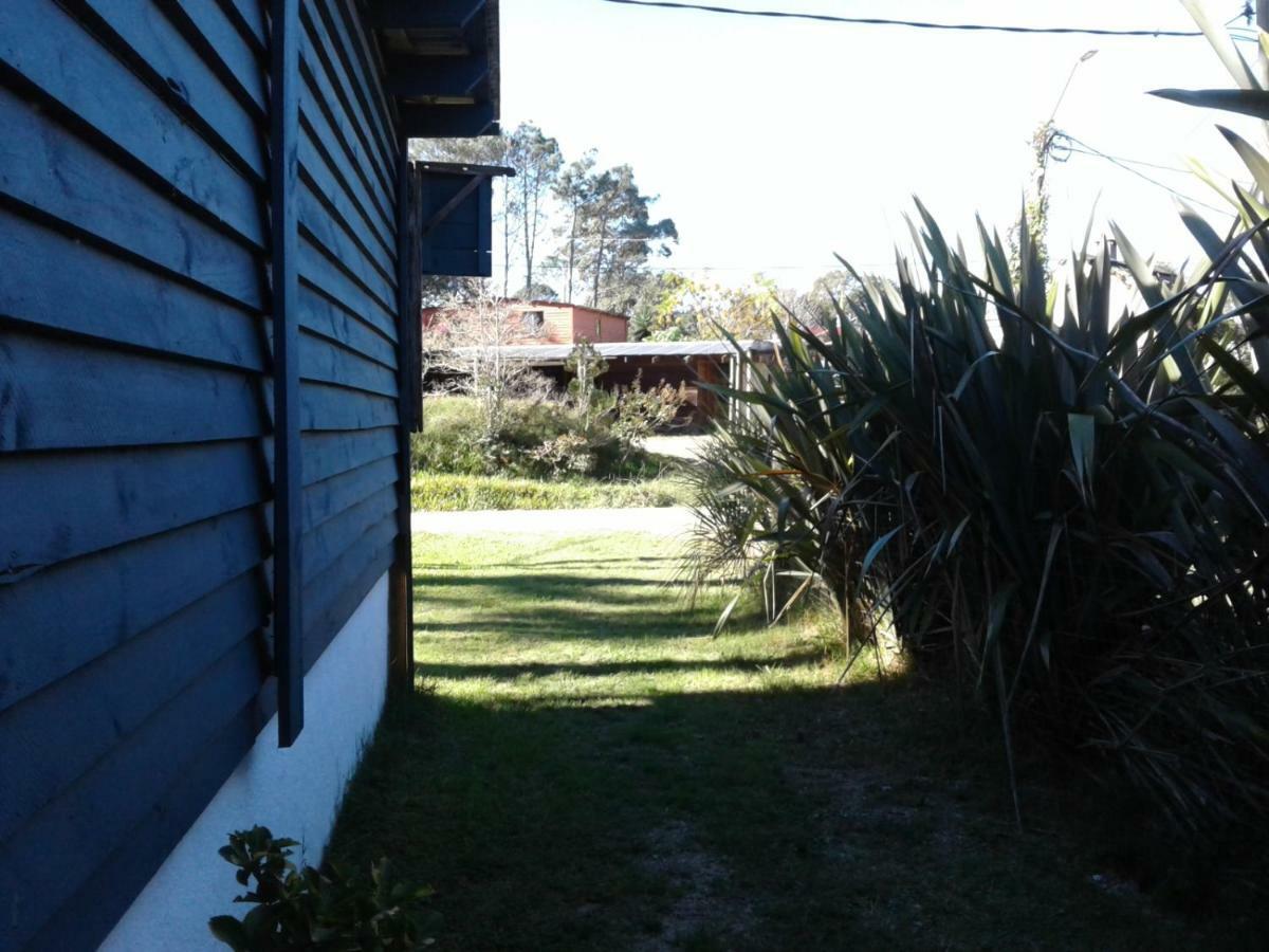 Lunas Del Bosque Cabana Y Apartamento En Suite La Paloma Ngoại thất bức ảnh
